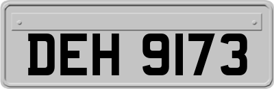 DEH9173