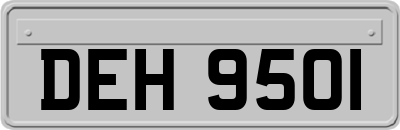 DEH9501