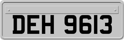 DEH9613