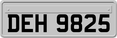 DEH9825