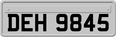 DEH9845