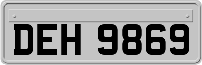 DEH9869