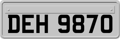 DEH9870