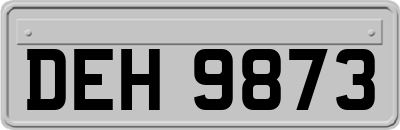 DEH9873