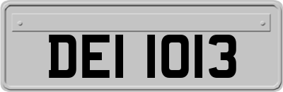 DEI1013