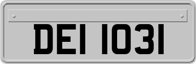 DEI1031