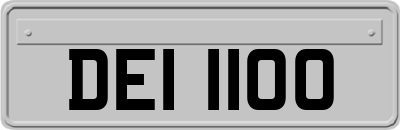 DEI1100