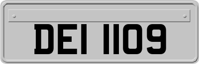 DEI1109