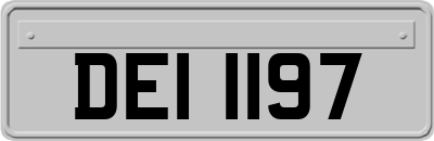 DEI1197