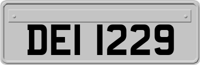DEI1229
