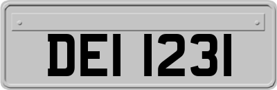 DEI1231