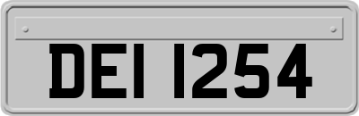 DEI1254
