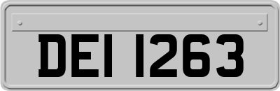 DEI1263