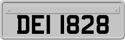 DEI1828