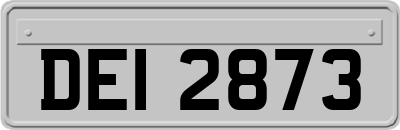 DEI2873
