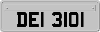 DEI3101