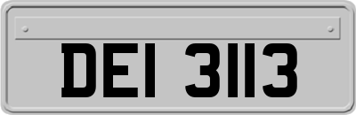 DEI3113