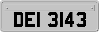 DEI3143