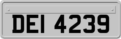 DEI4239