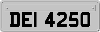 DEI4250