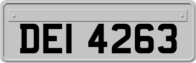 DEI4263