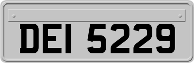 DEI5229
