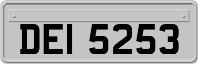 DEI5253