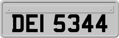 DEI5344