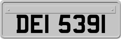 DEI5391