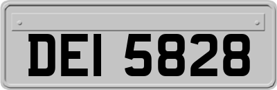 DEI5828