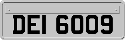 DEI6009