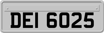 DEI6025