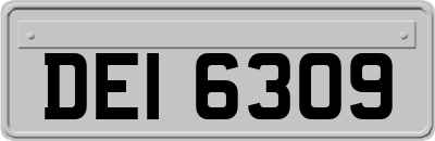 DEI6309
