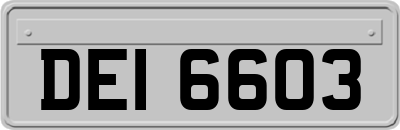 DEI6603