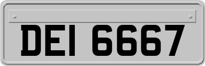 DEI6667