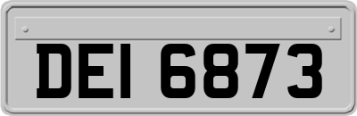 DEI6873