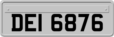 DEI6876