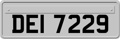 DEI7229