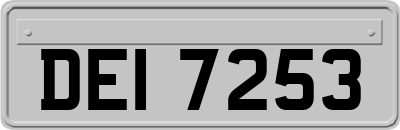 DEI7253