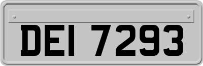 DEI7293