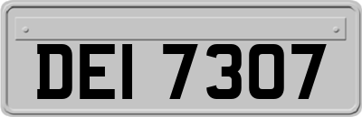 DEI7307