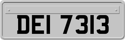DEI7313