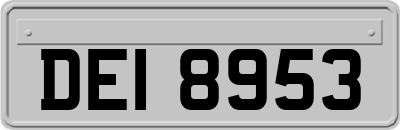 DEI8953
