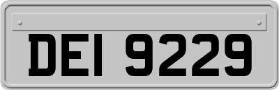 DEI9229