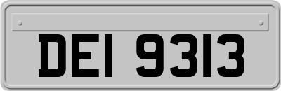 DEI9313