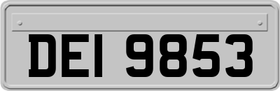 DEI9853