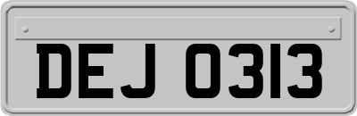 DEJ0313
