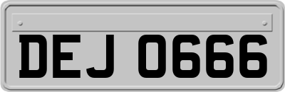 DEJ0666