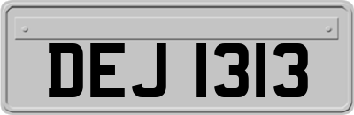 DEJ1313