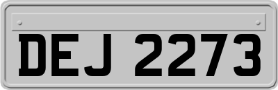 DEJ2273